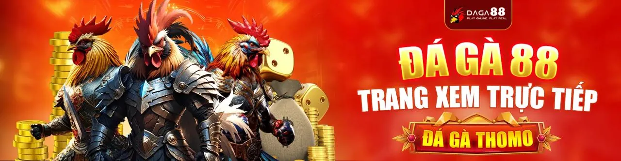 Cookie hiệu suất của ae3888 casino